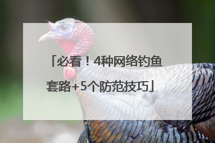 必看！4种网络钓鱼套路+5个防范技巧