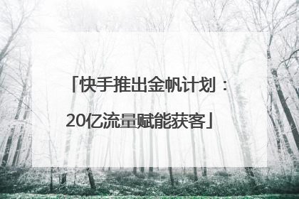 快手推出金帆计划：20亿流量赋能获客