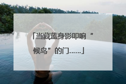 当藏蓝身影叩响“候鸟”的门……