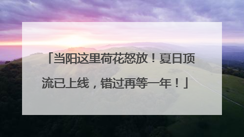当阳这里荷花怒放！夏日顶流已上线，错过再等一年！