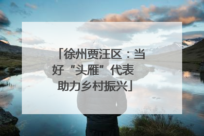 徐州贾汪区：当好“头雁”代表 助力乡村振兴