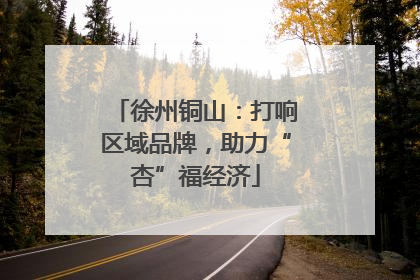 徐州铜山：打响区域品牌，助力“杏”福经济