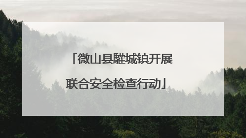 微山县驩城镇开展联合安全检查行动