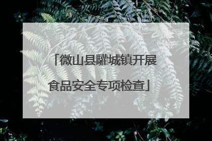 微山县驩城镇开展食品安全专项检查