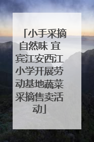 小手采摘自然味 宜宾江安西江小学开展劳动基地蔬菜采摘售卖活动