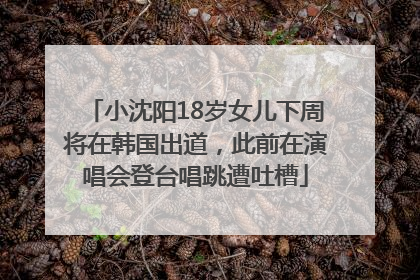 小沈阳18岁女儿下周将在韩国出道，此前在演唱会登台唱跳遭吐槽