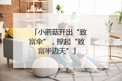 小蘑菇开出“致富伞”，撑起“致富半边天”