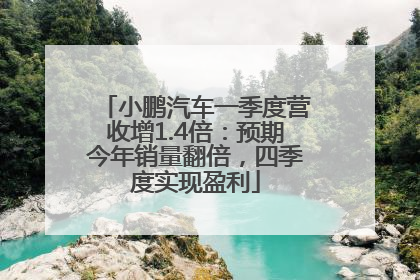 小鹏汽车一季度营收增1.4倍：预期今年销量翻倍，四季度实现盈利