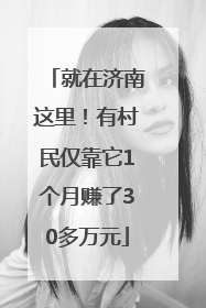 就在济南这里！有村民仅靠它1个月赚了30多万元