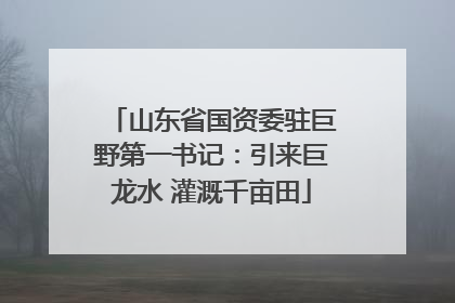 山东省国资委驻巨野第一书记：引来巨龙水 灌溉千亩田