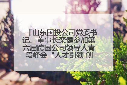 山东国投公司党委书记、董事长栾健参加第六届跨国公司领导人青岛峰会“人才引领 创新驱动”人力资源高质量发展对话会