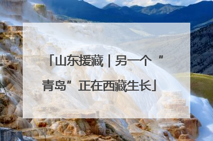 山东援藏｜另一个“青岛”正在西藏生长