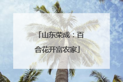 山东荣成：百合花开富农家