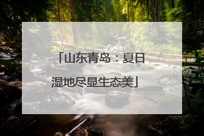 山东青岛：夏日湿地尽显生态美