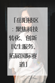 岳阳楼区：聚焦科技转化、创新民生服务、拓展国际赛道