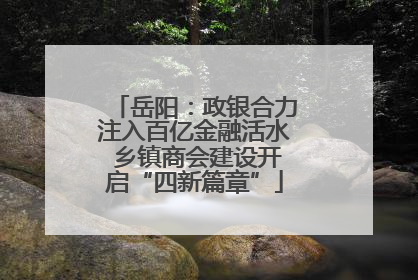 岳阳：政银合力注入百亿金融活水 乡镇商会建设开启“四新篇章”