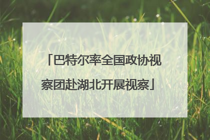 巴特尔率全国政协视察团赴湖北开展视察
