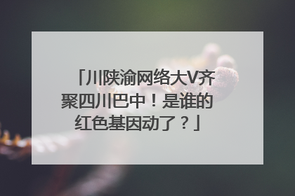 川陕渝网络大V齐聚四川巴中！是谁的红色基因动了？