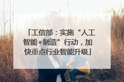 工信部：实施“人工智能+制造”行动，加快重点行业智能升级