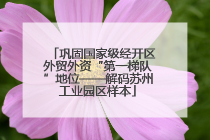 巩固国家级经开区外贸外资“第一梯队”地位——解码苏州工业园区样本