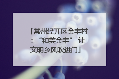 常州经开区金丰村：“和美金丰” 让文明乡风吹进门