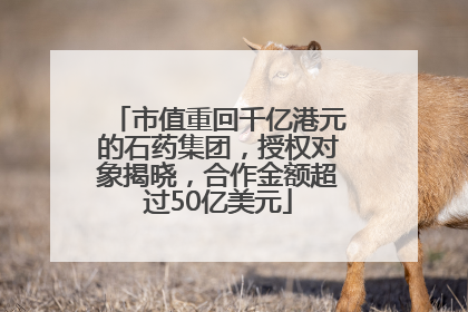 市值重回千亿港元的石药集团，授权对象揭晓，合作金额超过50亿美元