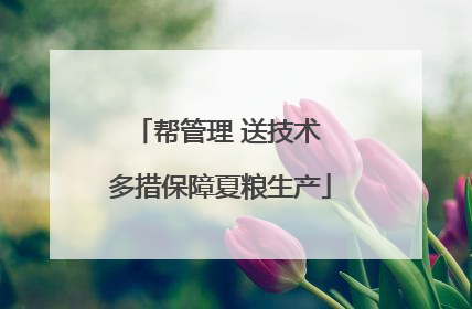 帮管理 送技术 多措保障夏粮生产