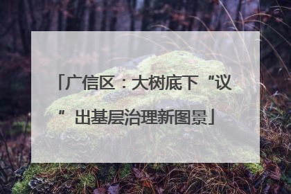 广信区：大树底下“议”出基层治理新图景