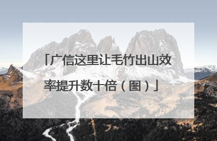 广信这里让毛竹出山效率提升数十倍（图）