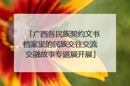 广西各民族契约文书档案里的民族交往交流交融故事专题展开展