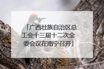 广西壮族自治区总工会十三届十二次全委会议在南宁召开