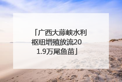 广西大藤峡水利枢纽增殖放流201.9万尾鱼苗