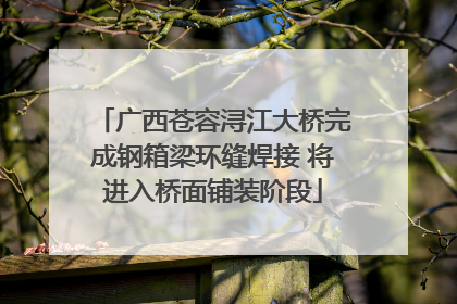 广西苍容浔江大桥完成钢箱梁环缝焊接 将进入桥面铺装阶段