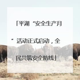 平湖“安全生产月”活动正式启动，全民共筑安全防线