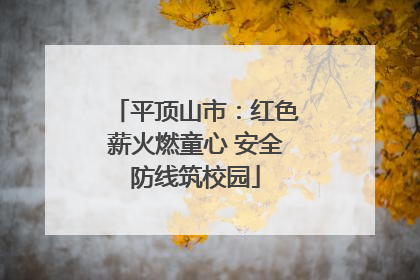 平顶山市：红色薪火燃童心 安全防线筑校园