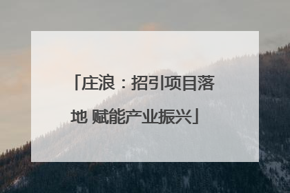 庄浪：招引项目落地 赋能产业振兴