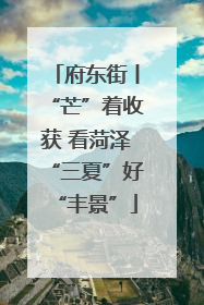 府东街丨“芒”着收获 看菏泽“三夏”好“丰景”