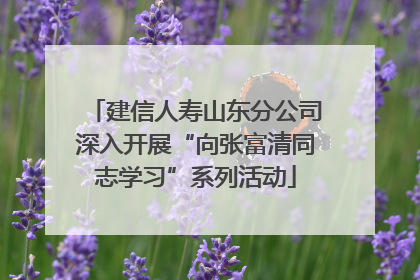 建信人寿山东分公司深入开展“向张富清同志学习”系列活动