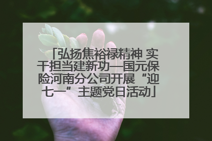 弘扬焦裕禄精神 实干担当建新功—国元保险河南分公司开展“迎七一”主题党日活动