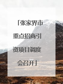 张家界市重点招商引资项目调度会召开