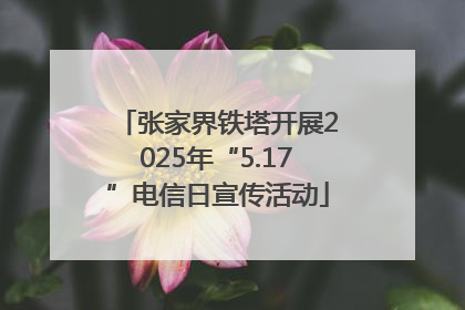 张家界铁塔开展2025年“5.17”电信日宣传活动