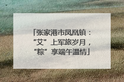 张家港市凤凰镇：“艾”上军旅岁月，“粽”享端午温情