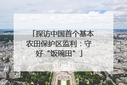 探访中国首个基本农田保护区监利：守好“饭碗田”