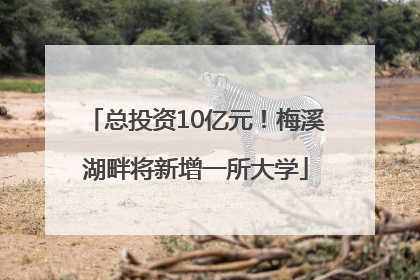 总投资10亿元！梅溪湖畔将新增一所大学