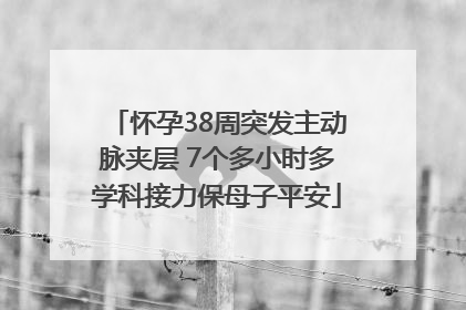 怀孕38周突发主动脉夹层 7个多小时多学科接力保母子平安