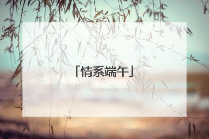 情系端午