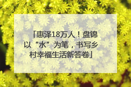惠泽18万人！盘锦以“水”为笔，书写乡村幸福生活新答卷