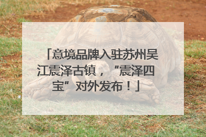 意境品牌入驻苏州吴江震泽古镇，“震泽四宝”对外发布！