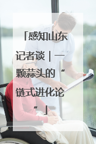 感知山东记者谈｜一颗蒜头的“链式进化论”