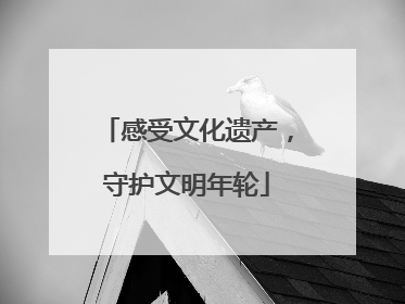 感受文化遗产，守护文明年轮